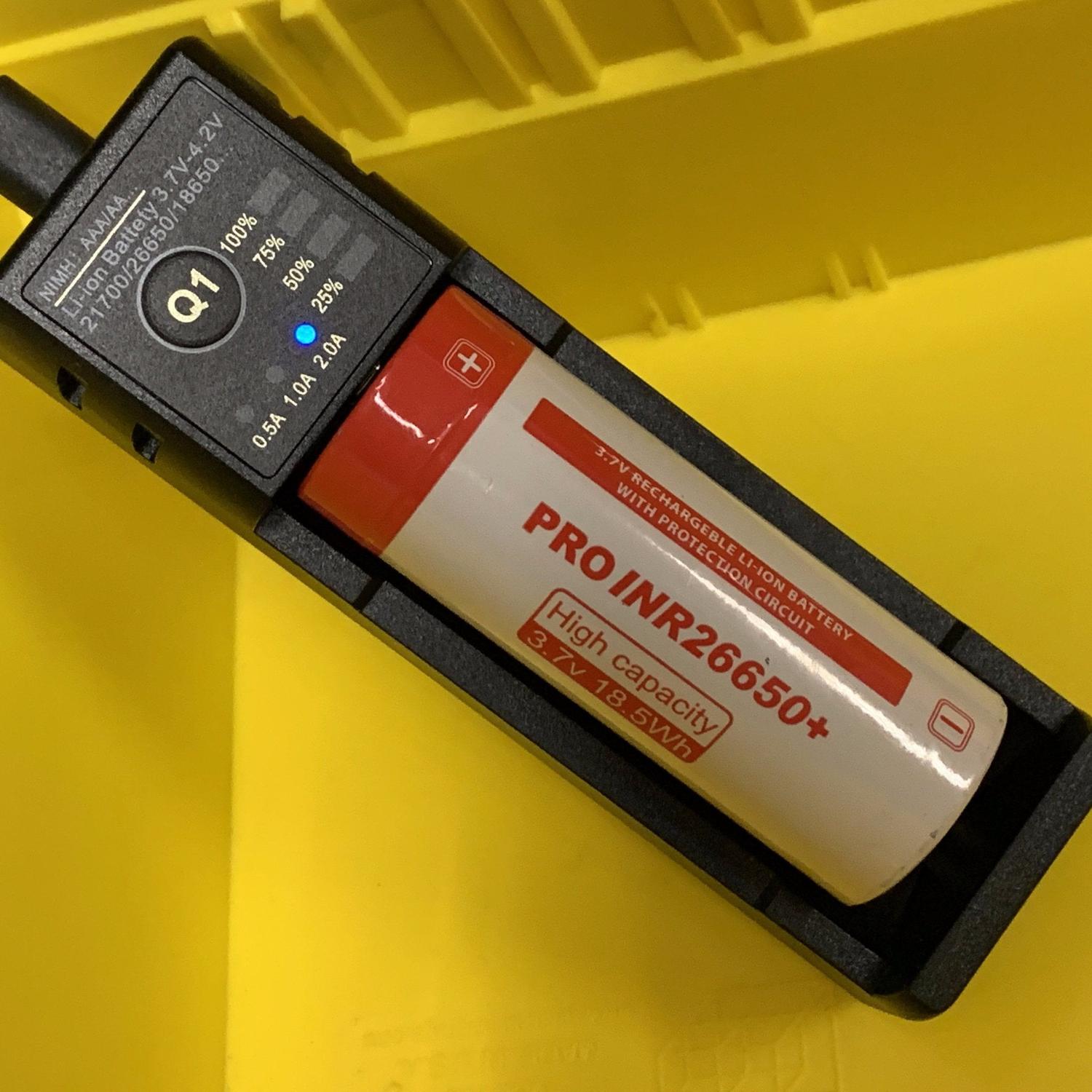 Pro Intelligent Battery Charger