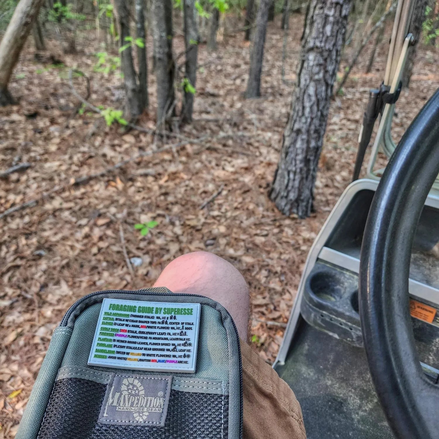 Storage Pocket Patch: "Foraging Guide", a Plants and Edibles Quick Identification Reference